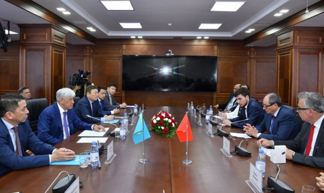 Инвестировать в Жетысу готова Швейцария